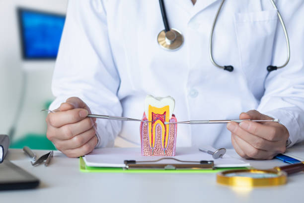 Best Emergency Dental Care for Broken or Chipped Teeth in Snyder, TX